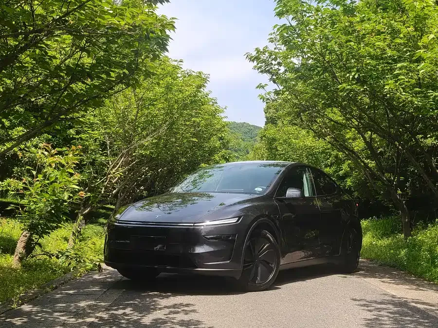 Tesla Model Y Model Y 2025 rear-wheel drive version 2025 — фото 1, купить с доставкой в Москву