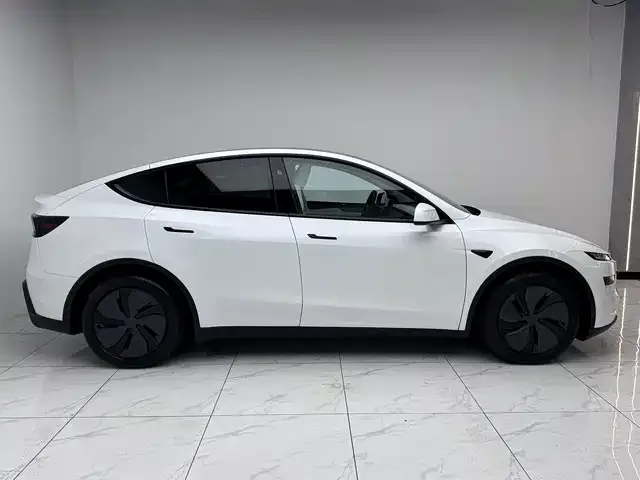 Tesla Model Y Model Y 2025 rear-wheel drive version 2025 — миниатюра 3