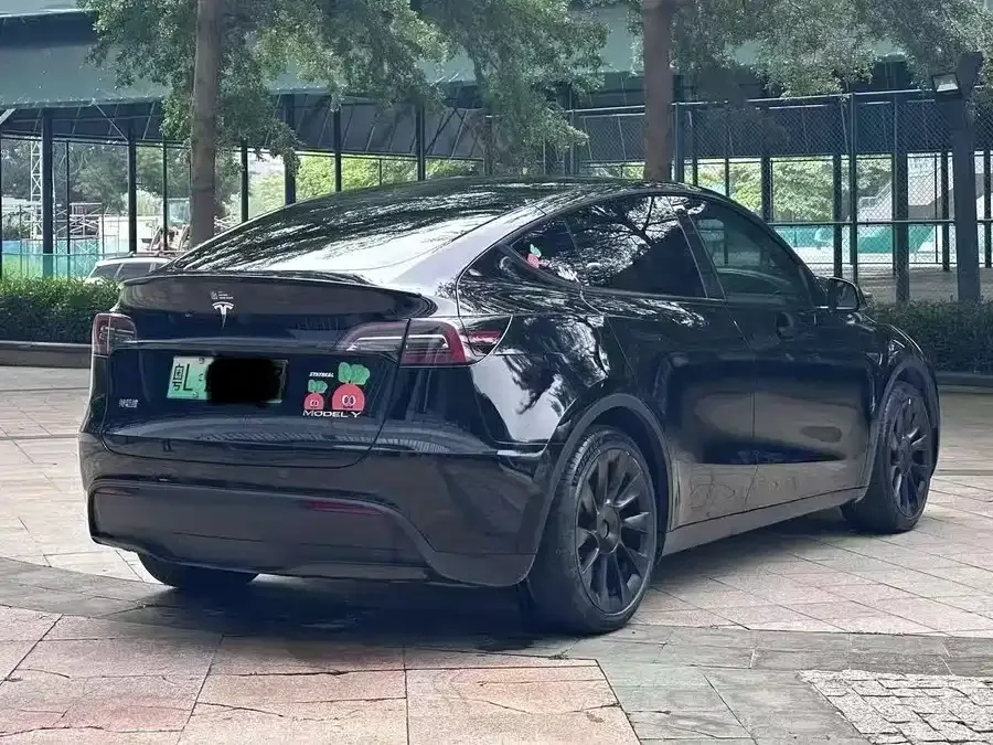 Tesla Model Y Model Y 2022 rear-wheel drive version 2022 — миниатюра 3