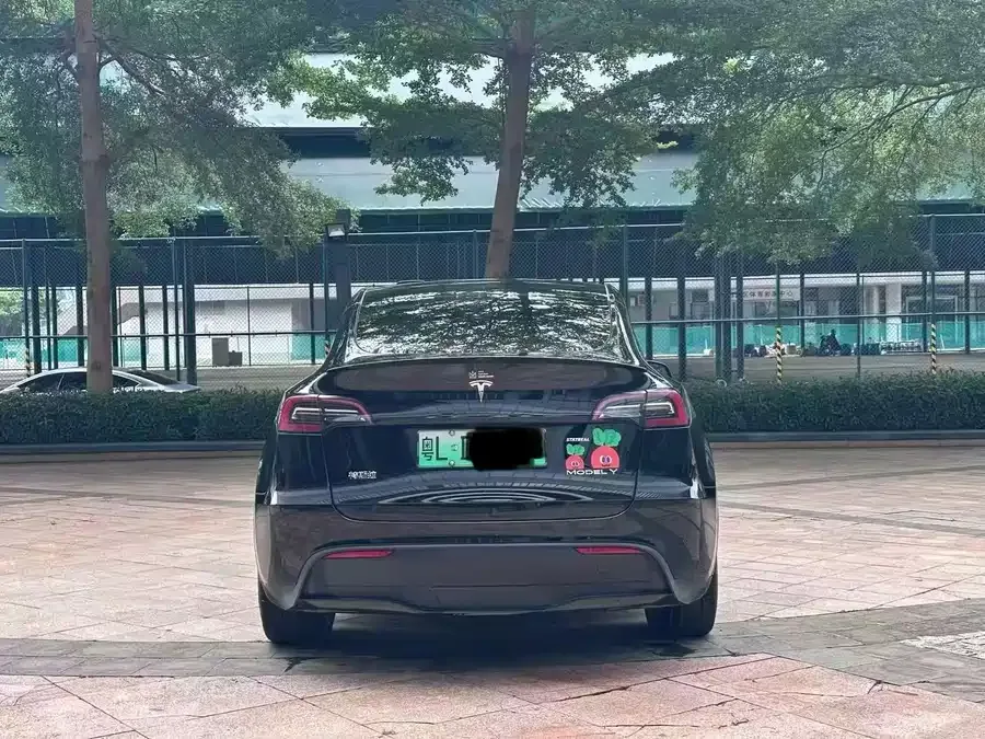 Tesla Model Y Model Y 2022 rear-wheel drive version 2022 — миниатюра 5
