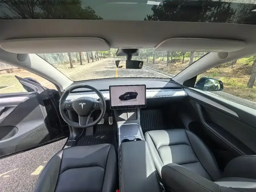 Tesla Model Y Model Y 2023 rear-wheel drive version 2023 — миниатюра 2