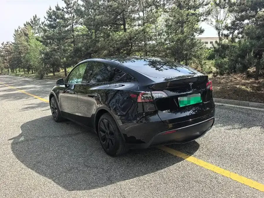 Tesla Model Y Model Y 2023 rear-wheel drive version 2023 — миниатюра 3