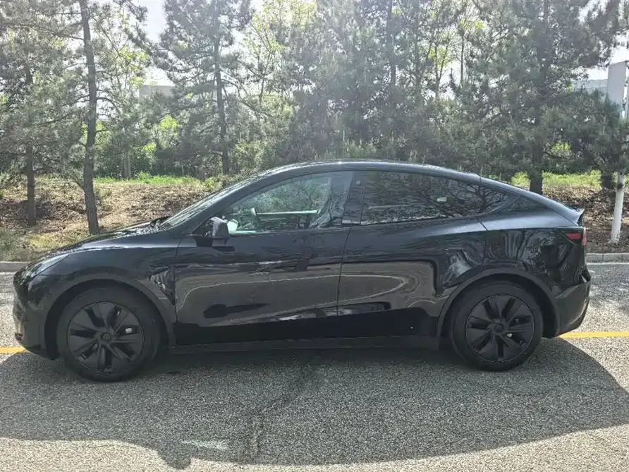 Tesla Model Y Model Y 2023 rear-wheel drive version 2023 — миниатюра 5