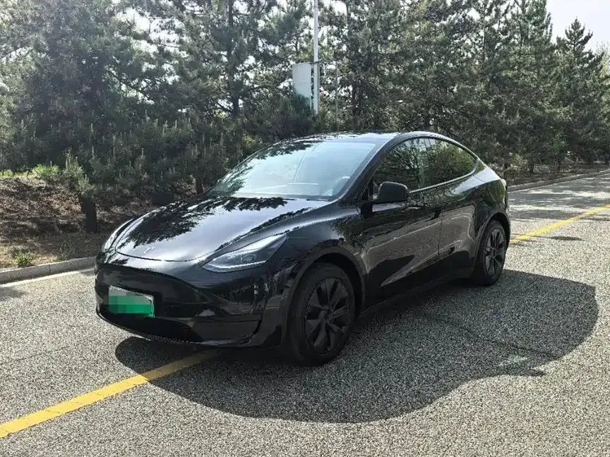 Tesla Model Y Model Y 2023 rear-wheel drive version 2023 — фото 1, купить с доставкой в Москву