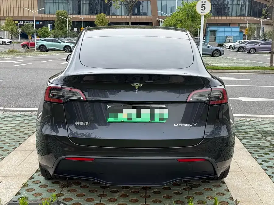 Tesla Model Y Model Y 2024 rear-wheel drive version 2024 — миниатюра 3