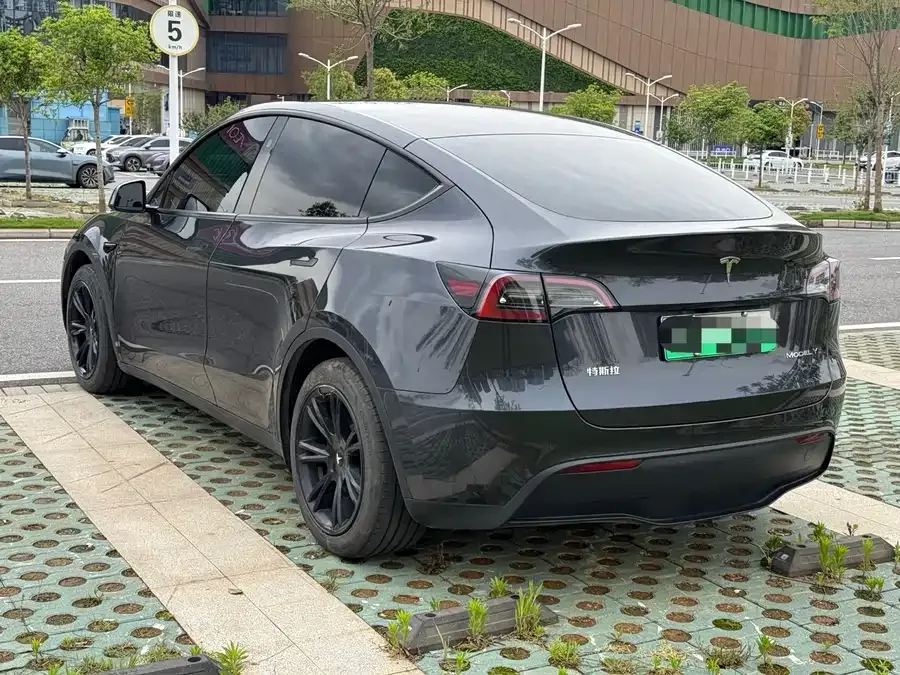 Tesla Model Y Model Y 2024 rear-wheel drive version 2024 — миниатюра 5