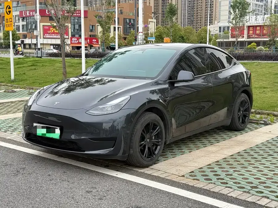 Tesla Model Y Model Y 2024 rear-wheel drive version 2024 — фото 1, купить с доставкой в Москву