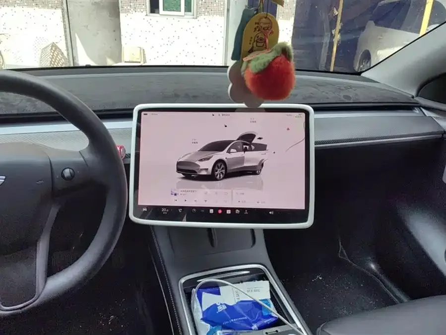 Tesla Model Y Model Y 2022 rear-wheel drive version 2022 — миниатюра 4