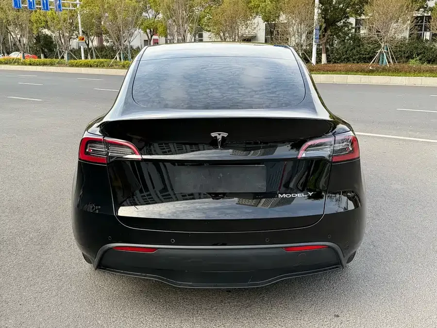 Tesla Model Y Model Y 2024 rear-wheel drive version 2024 — миниатюра 3