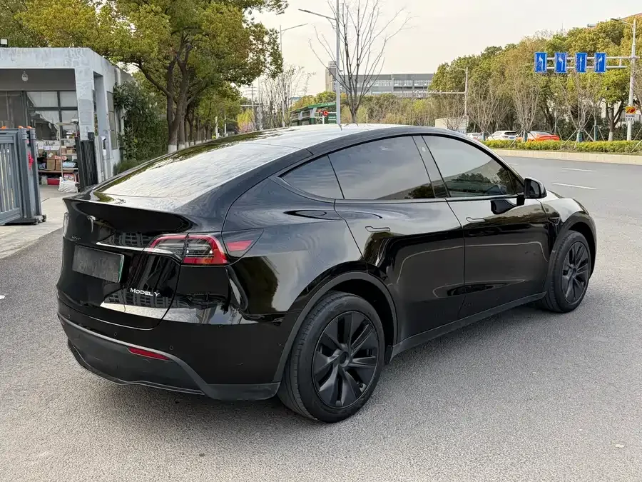 Tesla Model Y Model Y 2024 rear-wheel drive version 2024 — миниатюра 5