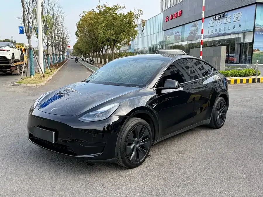 Tesla Model Y Model Y 2024 rear-wheel drive version 2024 — фото 1, купить с доставкой в Москву