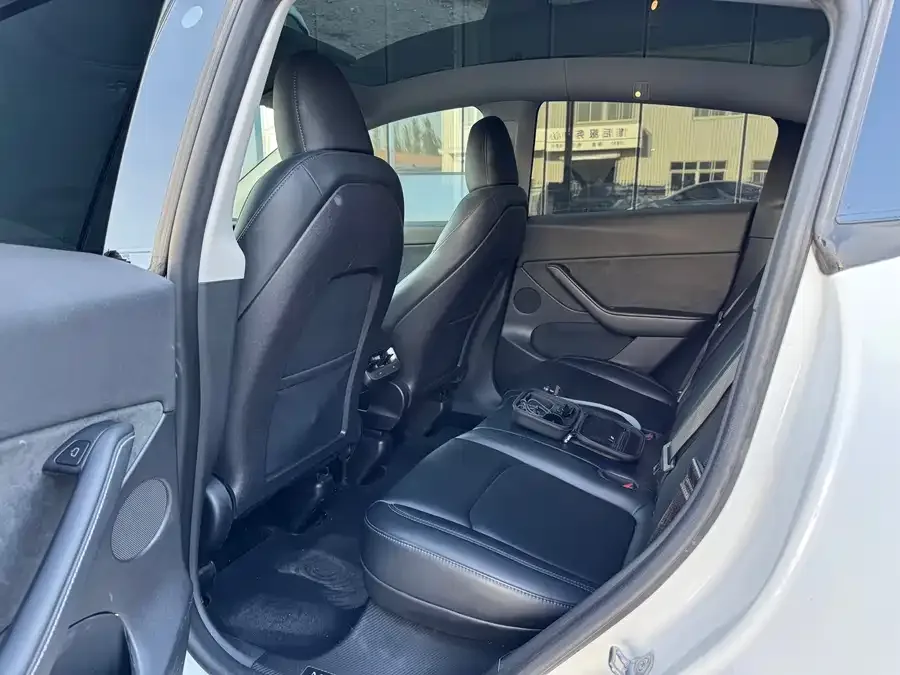 Tesla Model Y Model Y 2022 rear-wheel drive version 2023 — миниатюра 2