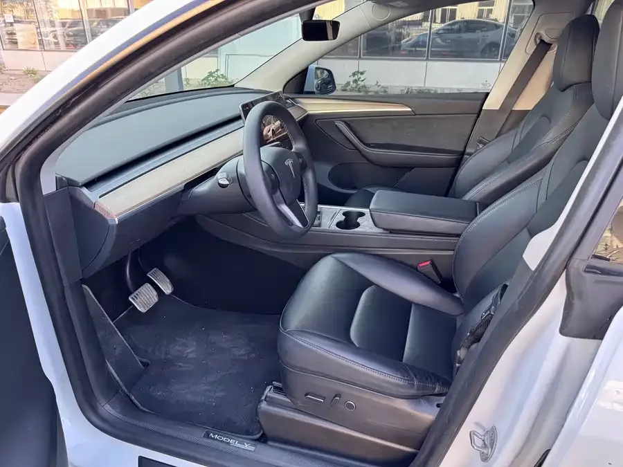 Tesla Model Y Model Y 2022 rear-wheel drive version 2023 — миниатюра 4