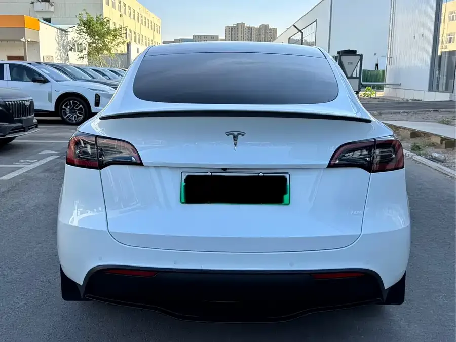 Tesla Model Y Model Y 2022 rear-wheel drive version 2023 — миниатюра 5