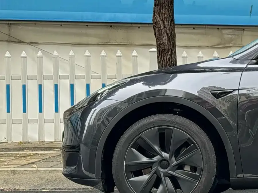 Tesla Model Y Model Y 2024 rear-wheel drive version 2024 — миниатюра 5