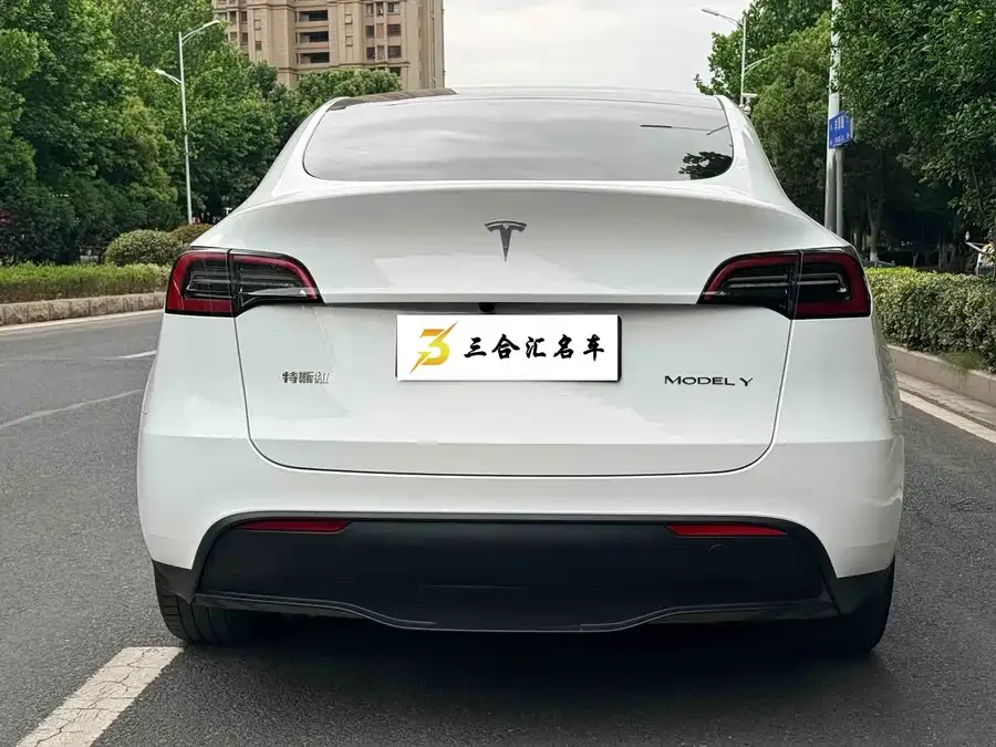 Tesla Model Y Model Y 2024 rear-wheel drive version 2024 — миниатюра 3