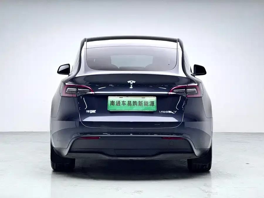 Tesla Model Y Model Y 2024 rear-wheel drive version 2025 — миниатюра 2