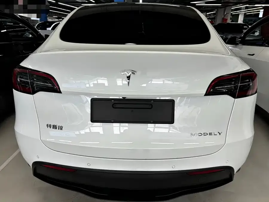 Tesla Model Y Model Y 2022 Long Range All-Wheel Drive Version 2024 — миниатюра 2