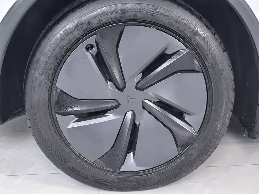 Tesla Model Y Model Y 2025 rear-wheel drive version 2025 — миниатюра 2