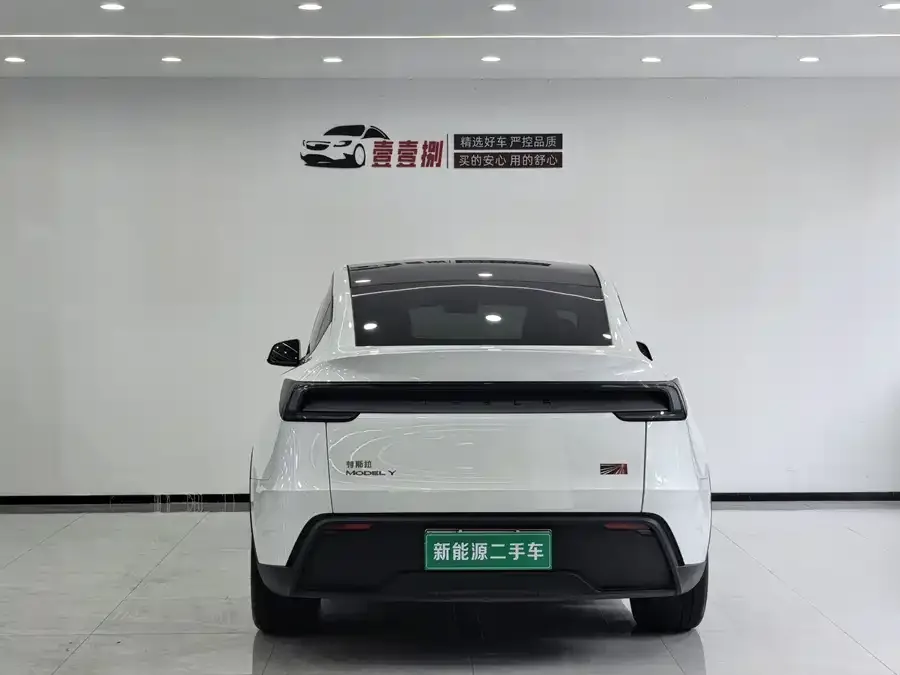 Tesla Model Y Model Y 2025 rear-wheel drive version 2025 — миниатюра 3