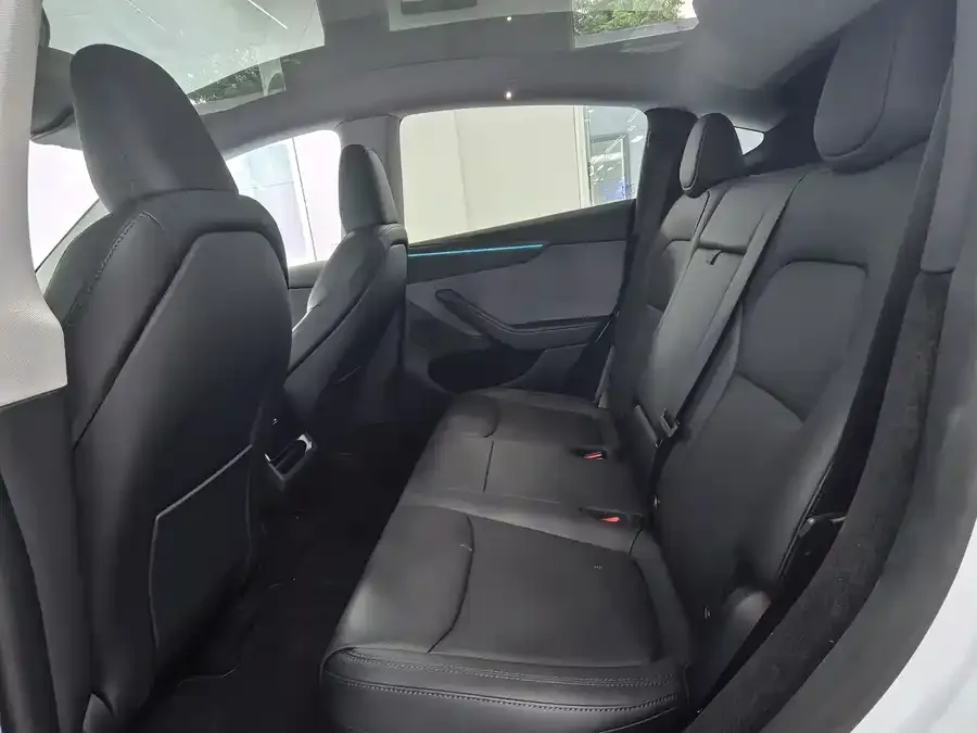 Tesla Model Y Model Y 2025 rear-wheel drive version 2025 — миниатюра 4