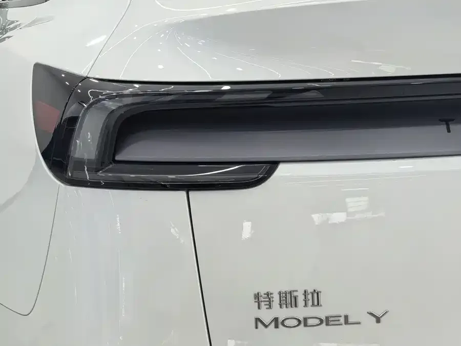 Tesla Model Y Model Y 2025 rear-wheel drive version 2025 — миниатюра 5