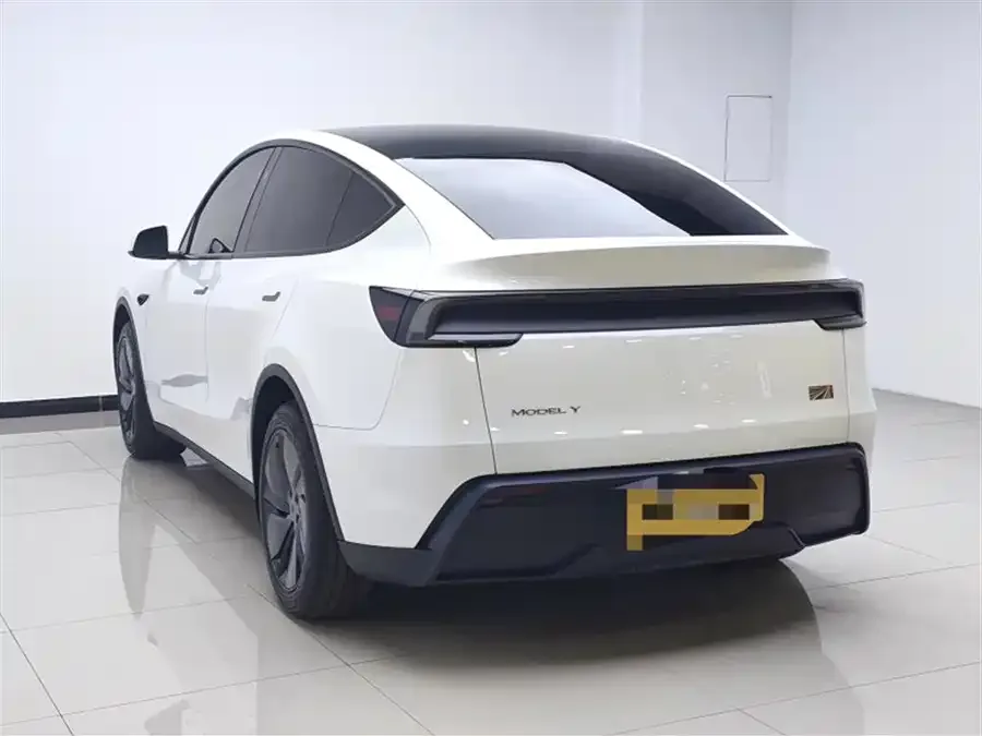Tesla Model Y Model Y 2025 rear-wheel drive version 2025 — миниатюра 4