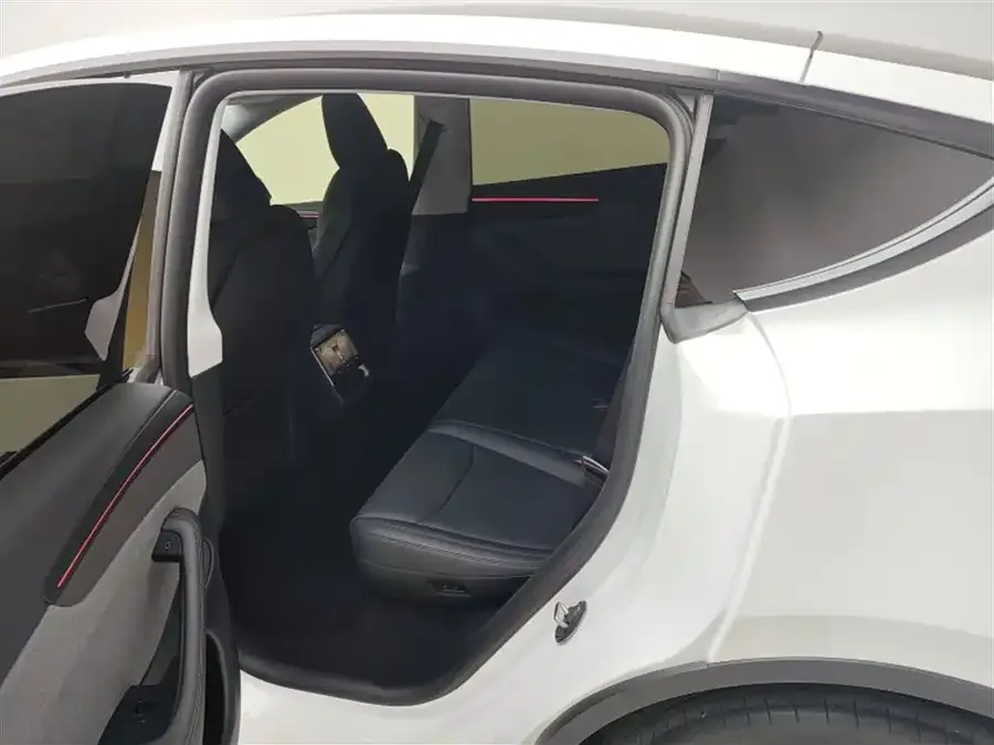 Tesla Model Y Model Y 2025 rear-wheel drive version 2025 — миниатюра 5