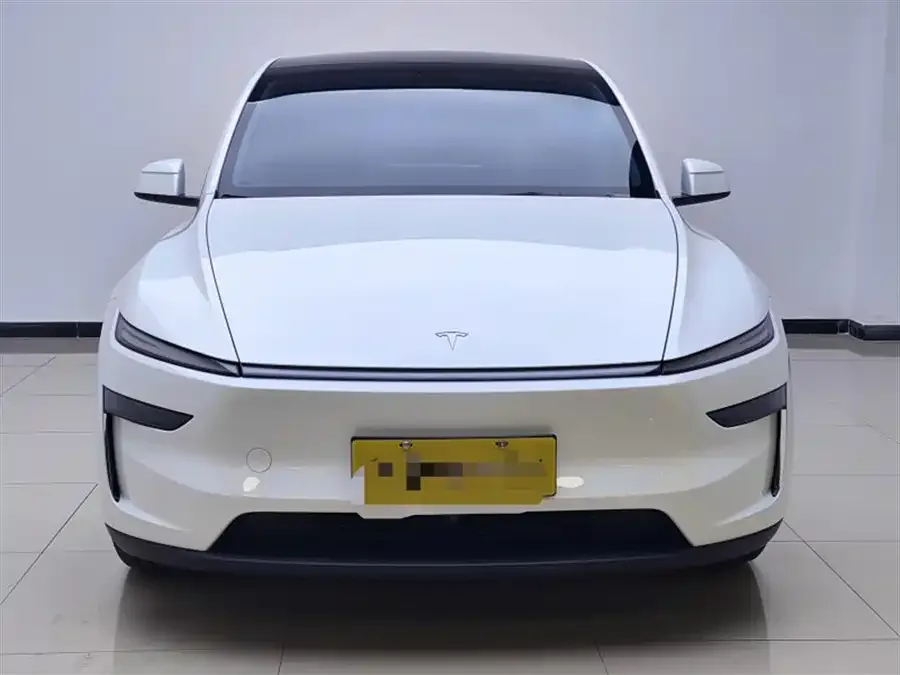 Tesla Model Y Model Y 2025 rear-wheel drive version 2025 — фото 1, купить с доставкой в Москву