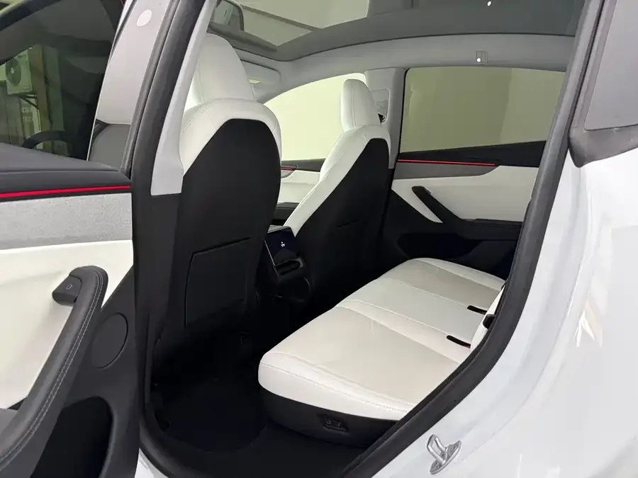 Tesla Model Y Model Y 2025 rear-wheel drive version 2025 — миниатюра 3