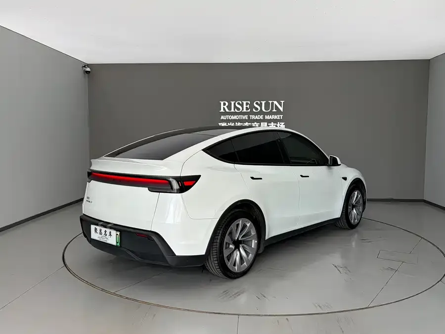 Tesla Model Y Model Y 2025 rear-wheel drive version 2025 — миниатюра 4