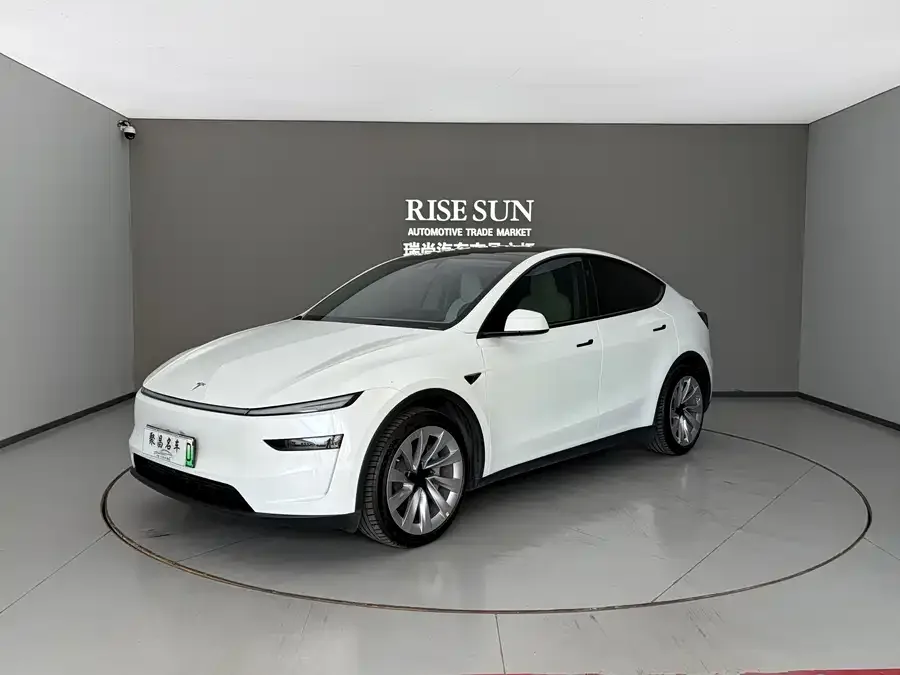 Tesla Model Y Model Y 2025 rear-wheel drive version 2025 — фото 1, купить с доставкой в Москву