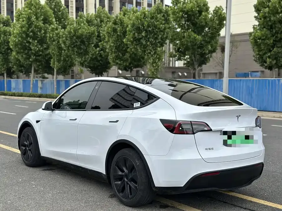 Tesla Model Y Model Y 2023 rear-wheel drive version 2024 — миниатюра 2