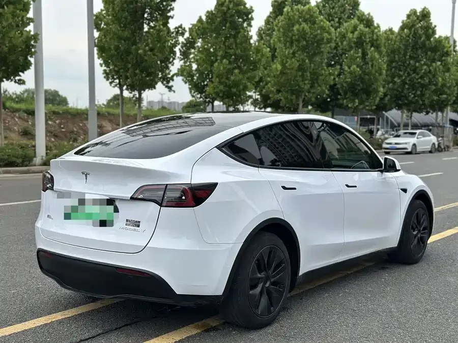 Tesla Model Y Model Y 2023 rear-wheel drive version 2024 — миниатюра 4