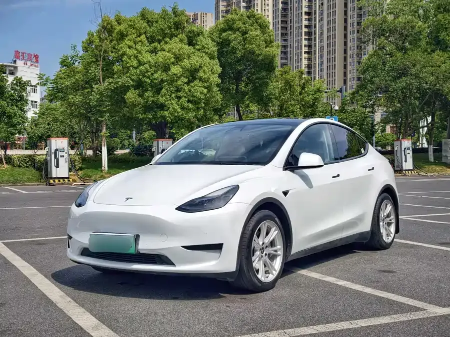 Tesla Model Y Model Y 2022 rear-wheel drive version 2022 — фото 1, купить с доставкой в Москву