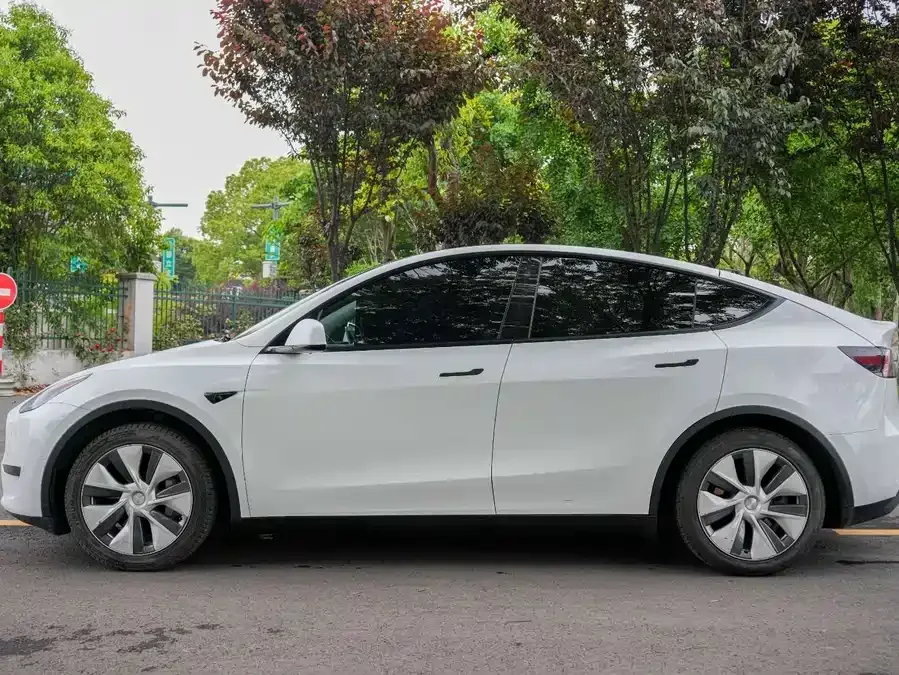 Tesla Model Y Model Y 2022 rear-wheel drive version 2023 — миниатюра 2