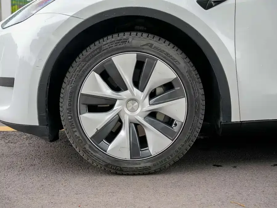Tesla Model Y Model Y 2022 rear-wheel drive version 2023 — миниатюра 3