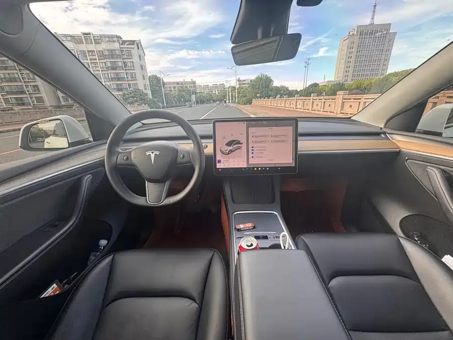 Tesla Model Y Model Y 2022 rear-wheel drive version 2023 — миниатюра 5