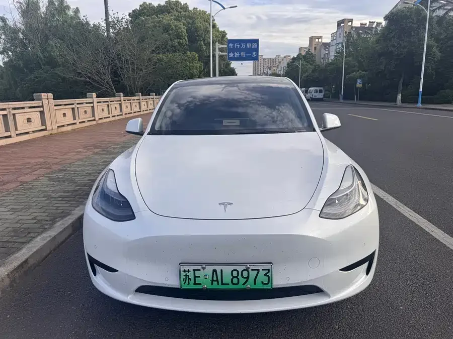 Tesla Model Y Model Y 2022 rear-wheel drive version 2023 — фото 1, купить с доставкой в Москву