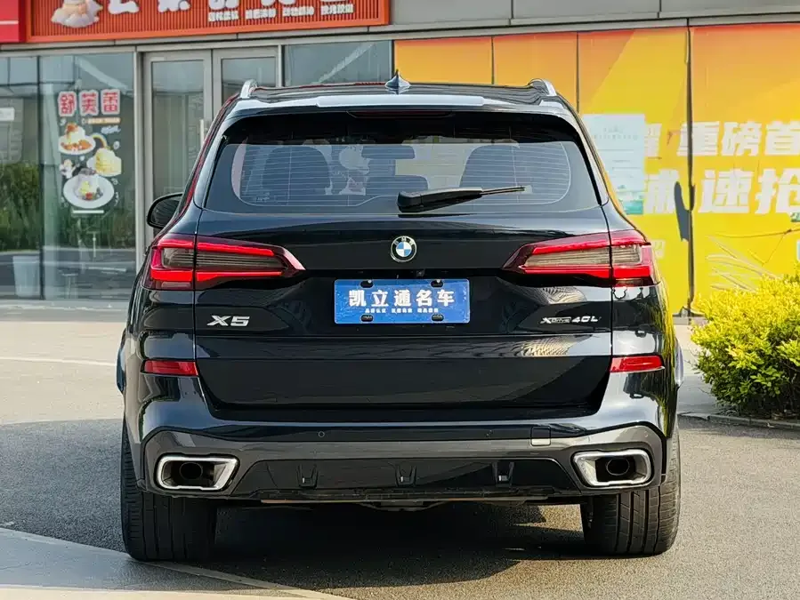 BMW X5 2022 xDrive 30Li M Sport Package 2023 — миниатюра 2