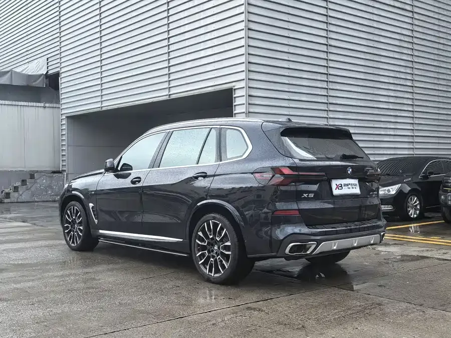BMW X5 2023 xDrive 40Li M Sport Package 2024 — миниатюра 2