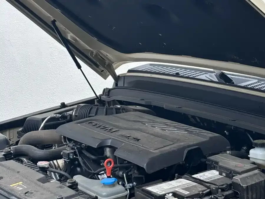 Tank 300 Tank 300 2025 2.4T Diesel Edition 2025 — миниатюра 4
