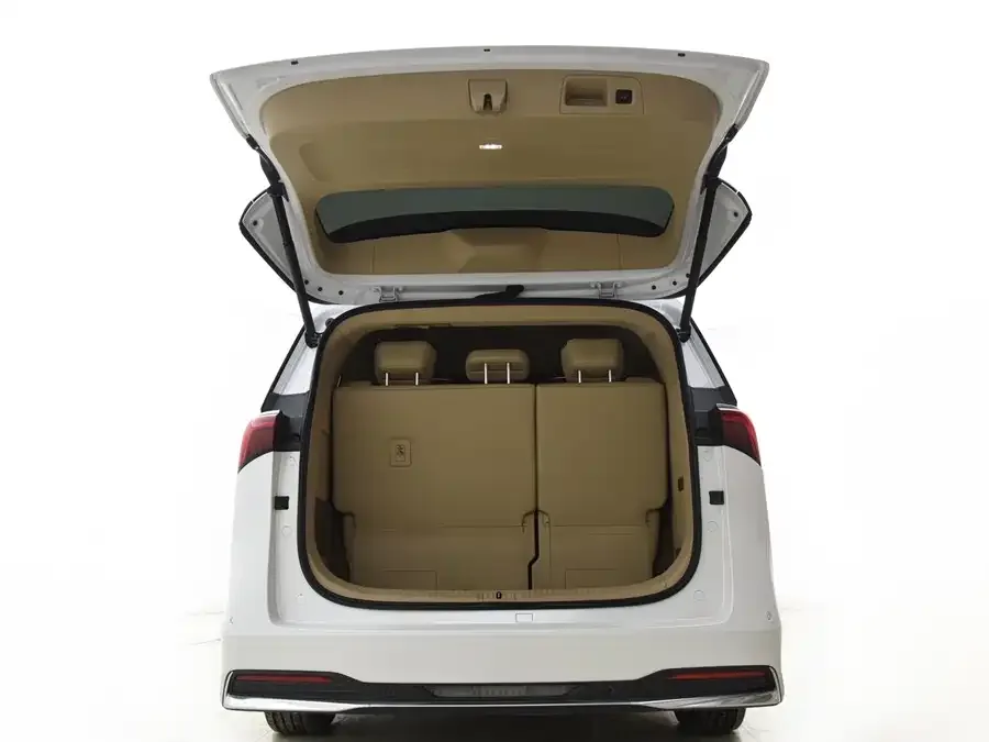 Buick Century Century 2023 2.0T Seven-seat Premium Edition 2024 — миниатюра 4