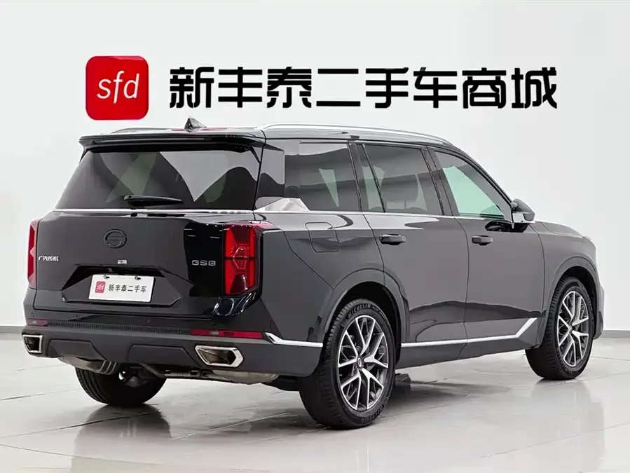 GAC Trumpchi GS8 Trumpchi GS8 2025 Pilot Series 2.0TGDI 2WD Luxury Edition 5 Seaters 2024 — миниатюра 2