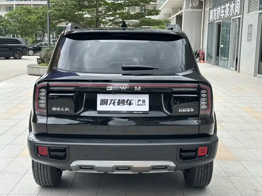 Haval Big dog Haval Big Dog 2026 1.5T DCT Border Collie Edition 2026 — миниатюра 2