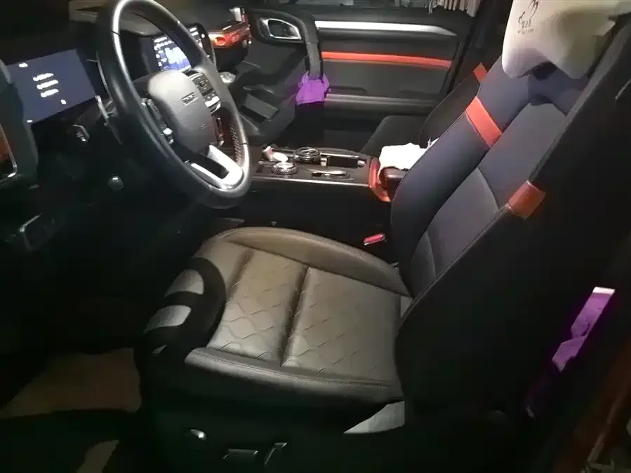Haval Big dog Haval Big Dog 2022 2.0T DCT 4WD Chinese Pastoral Dog Edition 2022 — миниатюра 3