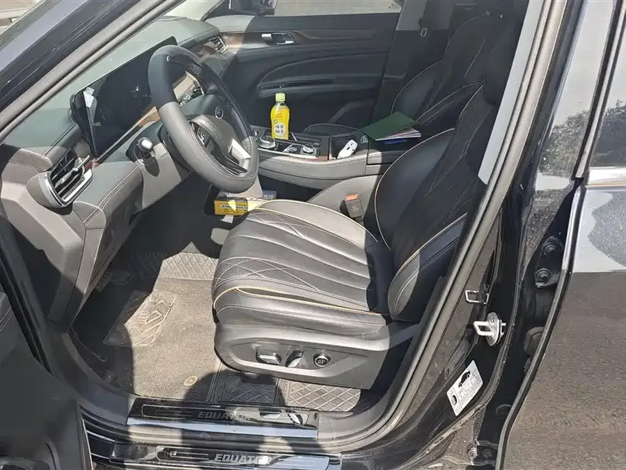 Ford Lingyu Lingyu 2021 EcoBoost 225 Zunling Edition 7 Seaters (2/2/3) 2022 — миниатюра 3