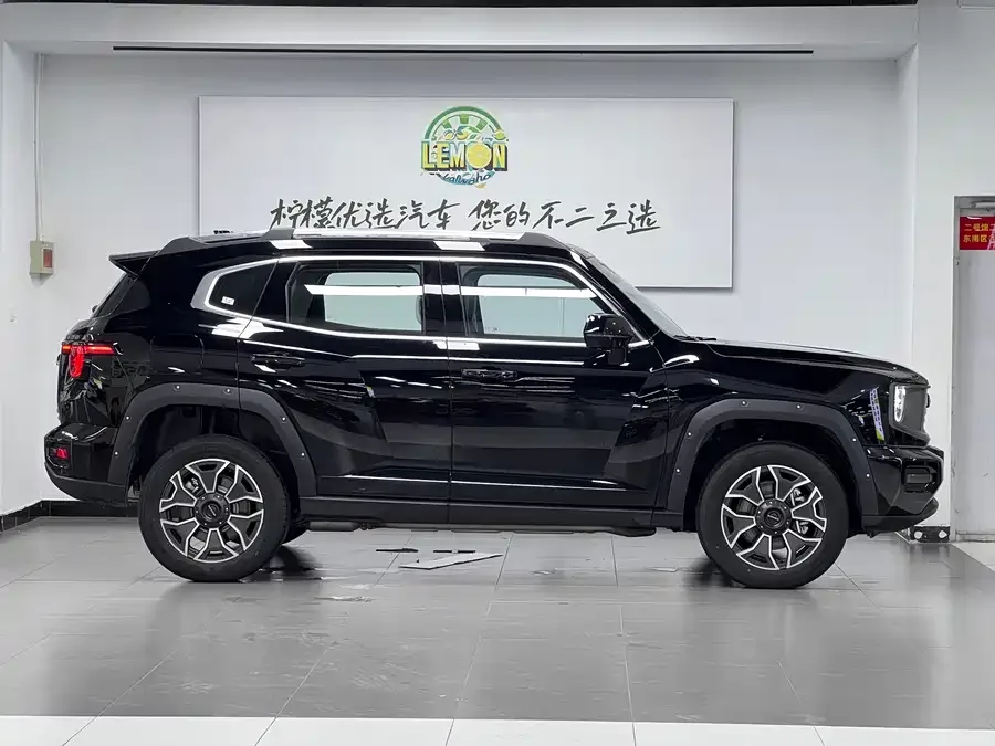 Haval Big Dog PLUS New Energy Haval Big Dog PLUS New Energy 2024 Hi4 102km Trendy Electric Edition Plus 2026 — миниатюра 2