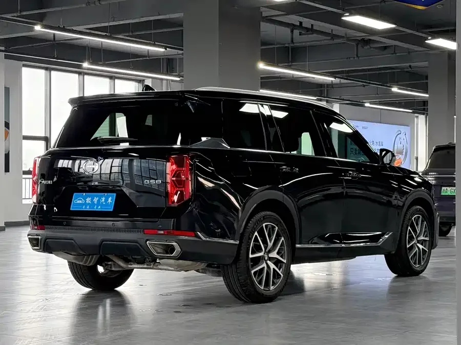 GAC Trumpchi GS8 Trumpchi GS8 2025 Pilot Series 2.0TGDI 2WD Luxury Edition 5 Seaters 2025 — миниатюра 2