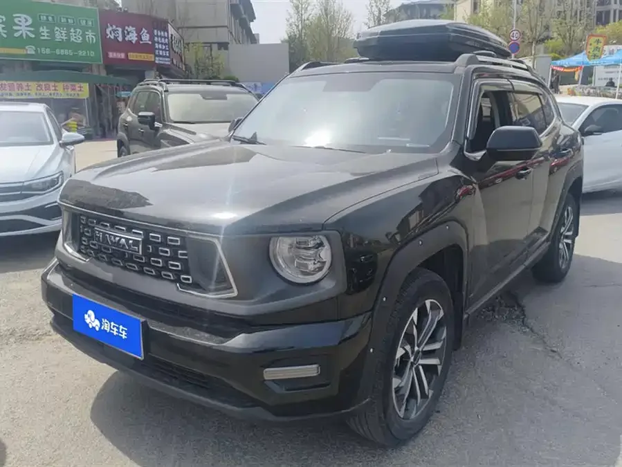 Haval Big Dog PLUS Haval Big Dog PLUS 2023 2.0T 2WD Trendy Wild Edition 2023 — фото 1, купить с доставкой в Москву